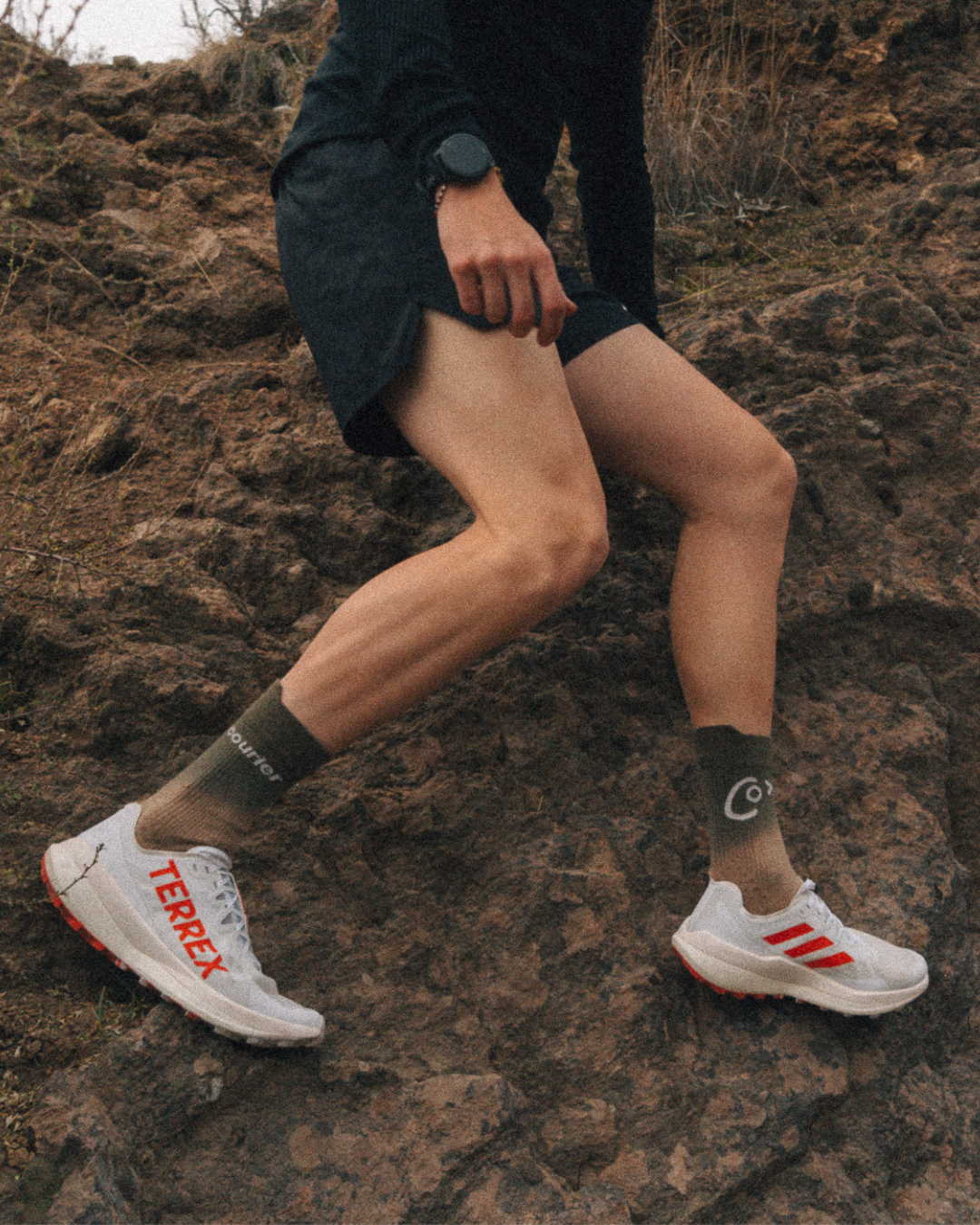 the LoFi sock